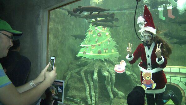 Аквалангистка в костюме Санта-Клауса плавала среди рыб в аквариуме зоопарка