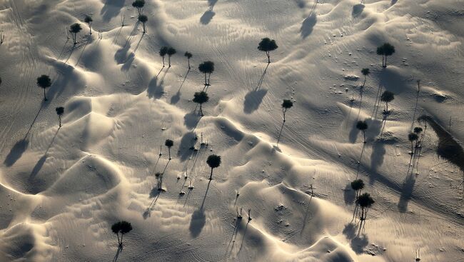 Виды Дубая с воздуха. Архивное фото