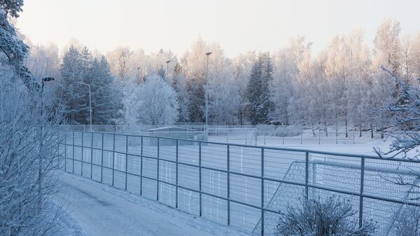 Российско-финская граница. Архивное фото