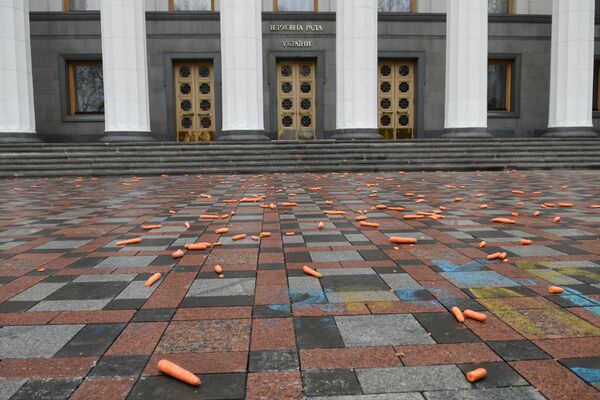 Акция протеста с требованием отставки правительства Украины перед зданием Верховной Рады в Киеве