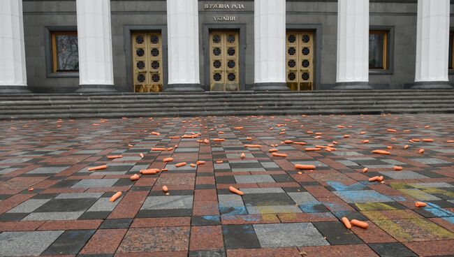 Акция протеста перед зданием Верховной Рады в Киеве. Архивное фото