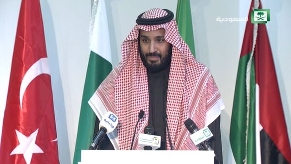 Министр обороны Саудовской Аравии о методах исламской коалиции в борьбе с ИГ