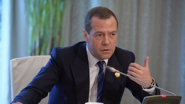 Дмитрий Медведева. Архивное фото.