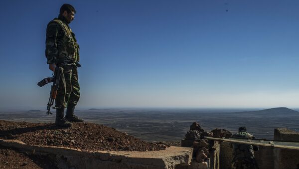 Сирийский военнослужащий на границе провинции Кунейтра. Архивное фото