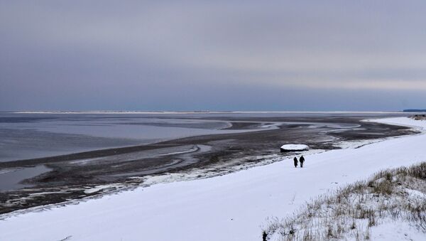 Побережье Белого моря в окрестностях Северодвинска. На дальнем плане остров Ягры. Архивное фото