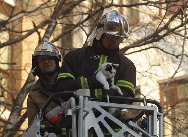 Сотрудники пожарной охраны МЧС России спасают кошку от пожара в жилом доме в Москве