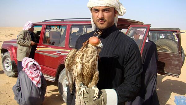 Охотник позирует с ястребом в пустыне Анбар западе Ирака