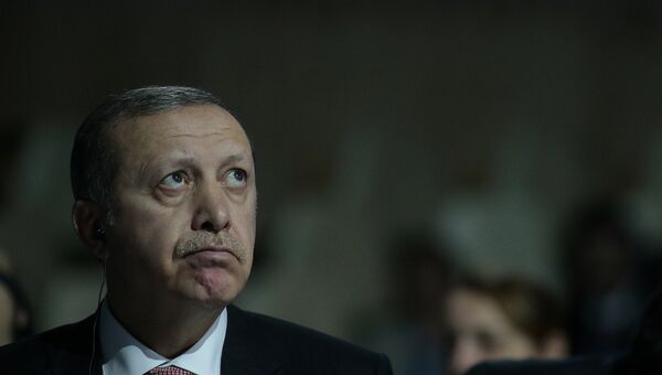 Президент Турции Реджеп Тайип Эрдоган на климатической конференции ООН в Париже. Архивное фото