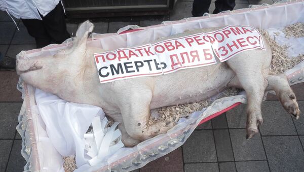 Фермеры в Киеве принесли гроб со свиньей на митинг против налоговых реформ