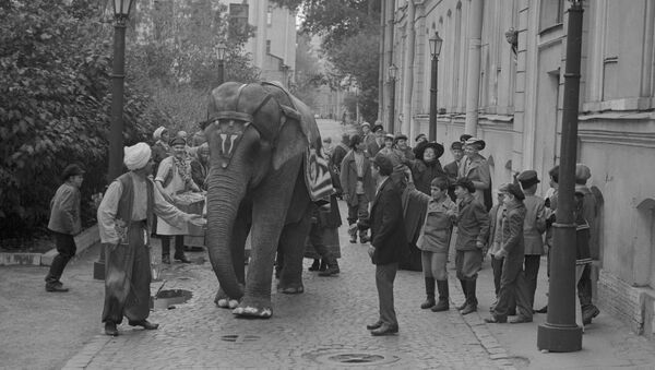 Съемки художественного фильма И вот пришел слон