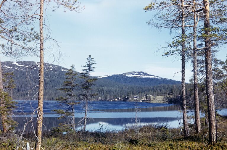 Лапландский заповедник