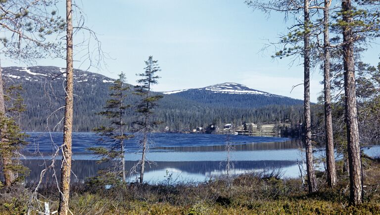 Лапландский заповедник