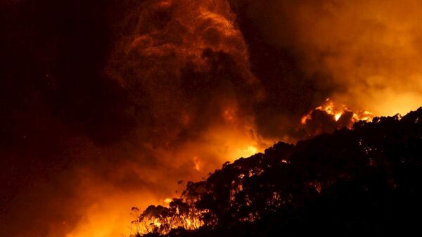 Лесной пожар на реке Уай, Австралия