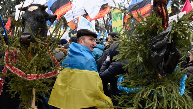 Митинг у здания Верховной Рады Украины. Архивное фото