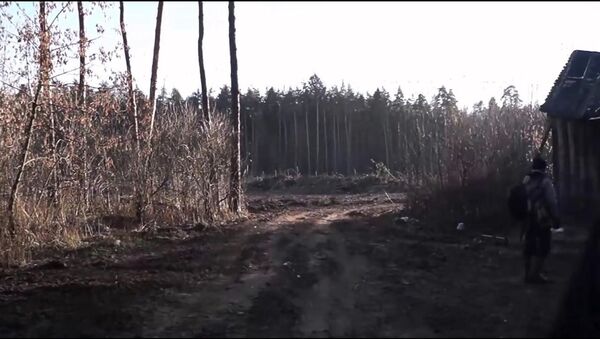 Скрин из видео Остановим вырубку зеленых насаждений