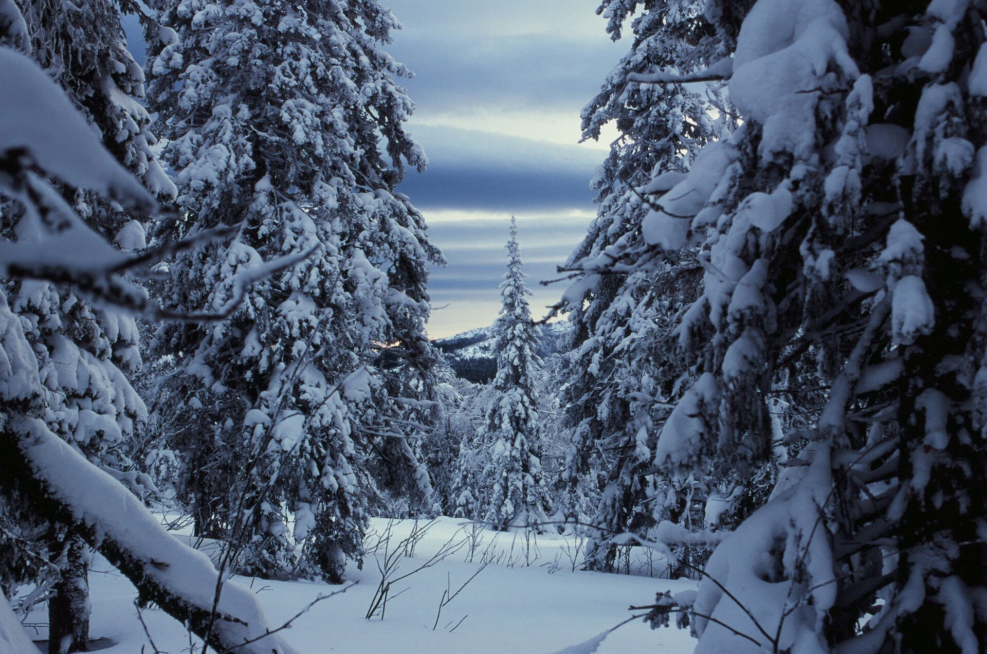 Горы, Урал Горы, Урал - РИА Новости, 1920, 15.12.2025