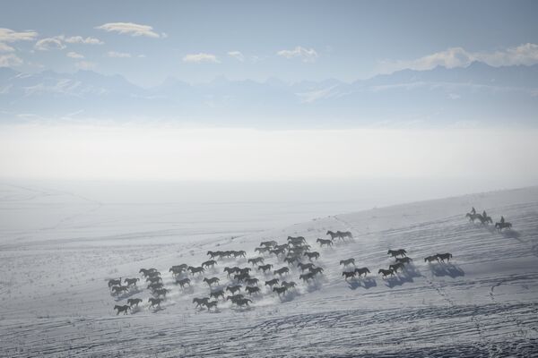 Пастухи скачут на лошадях по заснеженному склону в Китае