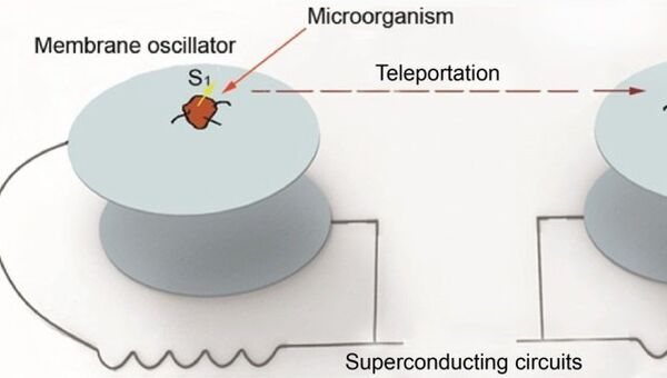 Схема устройства, телепортировавшего память бактерий