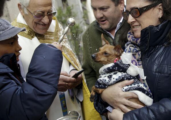 Священник благословляет животных в День святого Антония