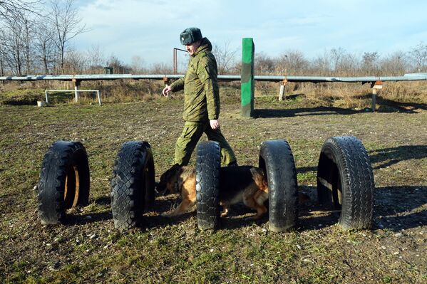 Занятия по взаимодействию военного кинолога и собаки при обнаружении мин и зарядов взрывчатых веществ, а также по преодолению различных препятствий на учебном полигоне Ханкала, расположенного в 7 километрах от Грозного