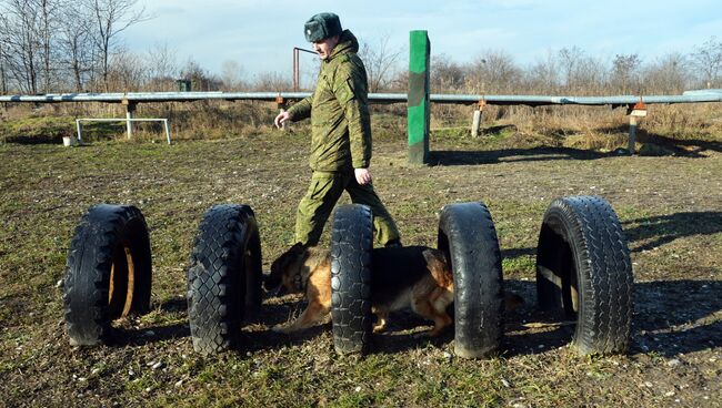 Занятия по взаимодействию военного кинолога и собаки. Архивное фото