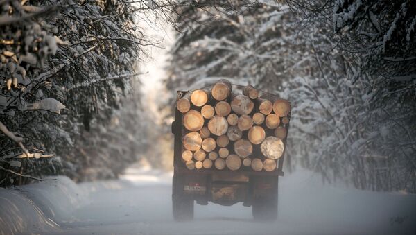 Зима в Омской области. Архивное фото