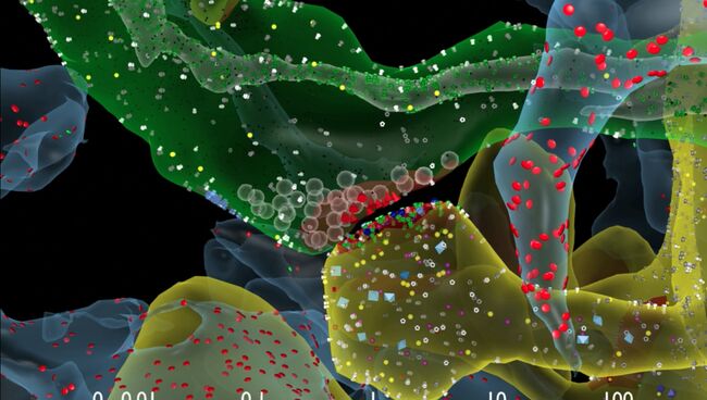 Модель гиппокампа, центра памяти мозга, созданная учеными из института Салка