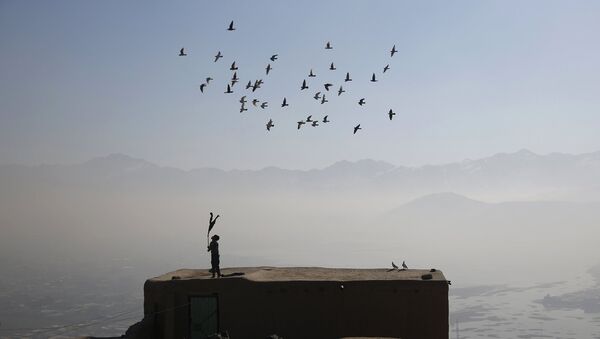 Афганский мальчик и его голуби на крыше дома в Кабуле. Архивное фото