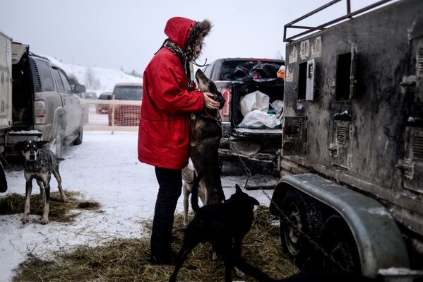Участница со своими собаками перед началом Международной гонки на собачьих упряжках По земле Сампо в Петрозаводске