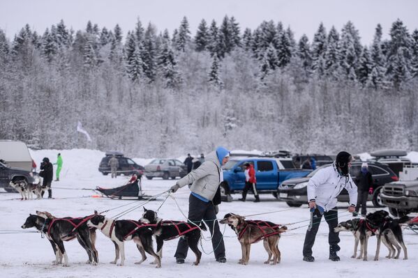 Участники с собаками перед началом Международной гонки на собачьих упряжках По земле Сампо в Петрозаводске
