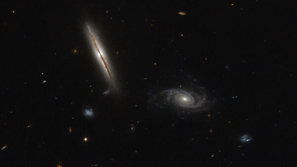 Галактика LO95 0313-192 в созвездии Эридана