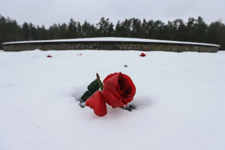 Красная роза у мемориала Курган на месте лагеря смерти