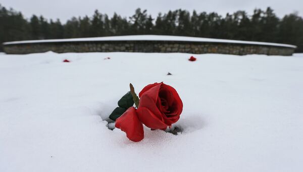 Красная роза у мемориала Курган на месте лагеря смерти