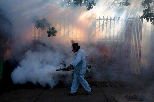 Медработник распыляет инсектициды для борьбы с комарами, переносящими вирус Зика, в Манагуа, Никарагуа