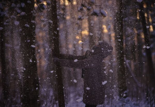 Девочка стряхивает снег с деревьев в зимнем лесу в Санкт-Петербурге