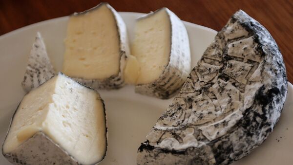 Готовый сыр с благородной плесенью, аналог сыра камамбер