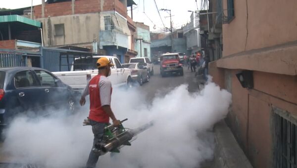 Окуривание дымом домов в Каракасе из-за вируса Зика и комментарий эксперта ВОЗ