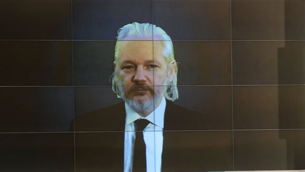 Сооснователь WikiLeaks Джулиан Ассанж во время видеомоста