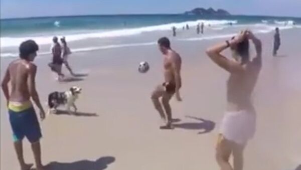 Собака играет в пляжный футбол