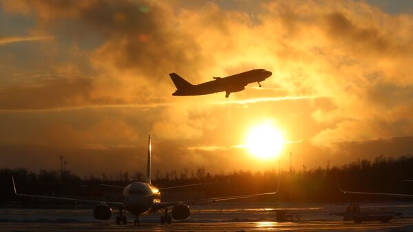 Самолеты на взлетно-посадочной полосе аэропорта Домодедово. Архивное фото