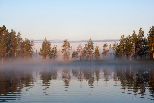 Туманное утро на лесном озере в Республике Карелия