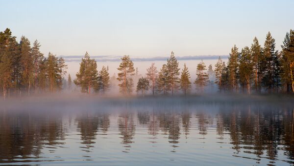 Туманное утро на лесном озере в Республике Карелия. Архивное фото
