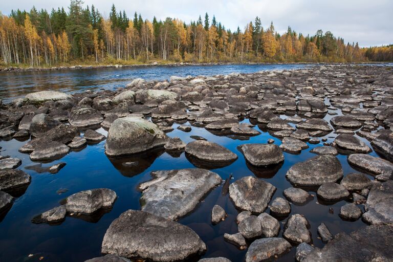 Река Лужма в Медвежьегорском районе Республики Карелия