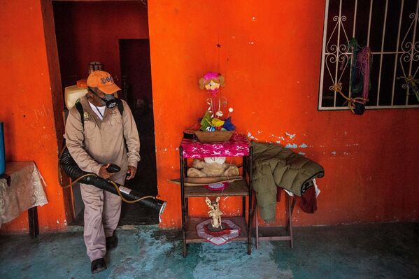 Медработник распыляет инсектициды для борьбы с комарами, переносящими вирус Зика в Мексике