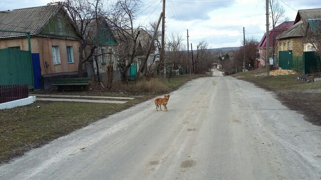 Населенный пункт Веселая Гора (ЛНР). Архивноео фото