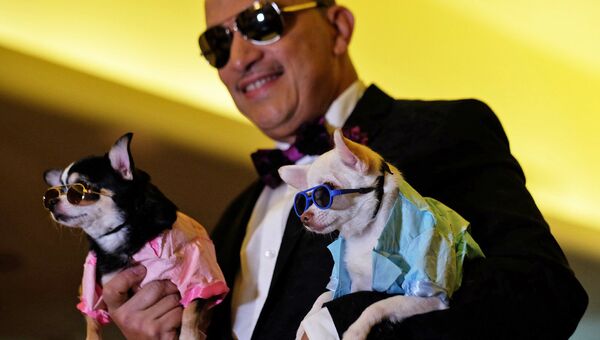 Участники модного показа для домашних животных Pet Fashion Show в Нью-Йорке, США