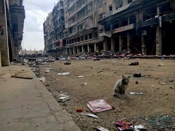 На одной из улиц в историческом центре в Алеппо