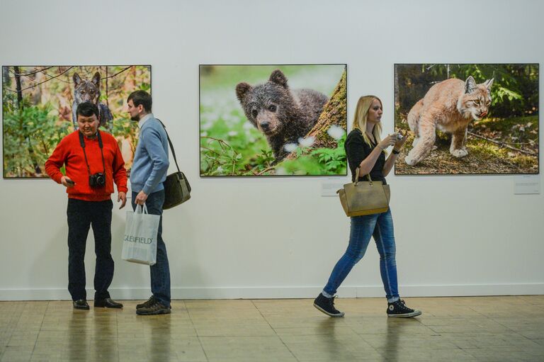 Посетители на фотовыставке, которая открылась в рамках III Общероссийского фестиваля природы Первозданная Россия в Центральном Доме Художника в Москве