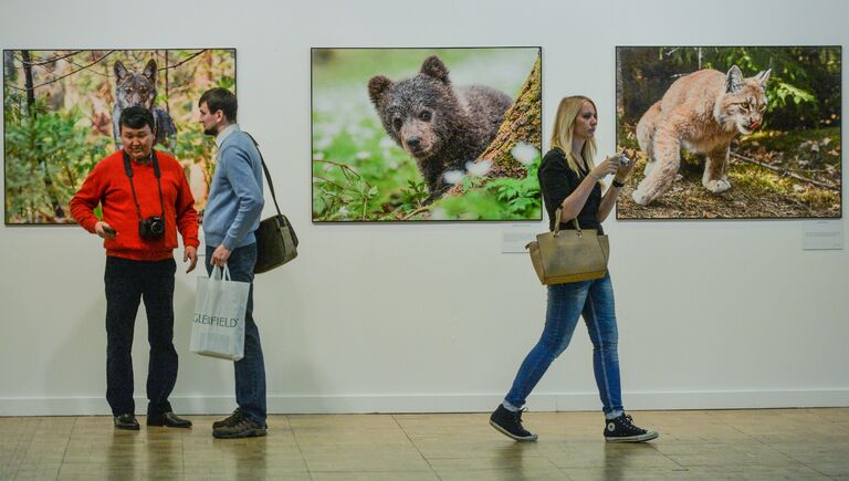 Посетители на фотовыставке, которая открылась в рамках III Общероссийского фестиваля природы Первозданная Россия в Центральном Доме Художника в Москве