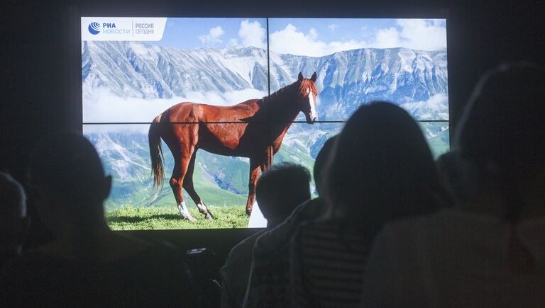 Посетители на фотовыставке, которая открылась в рамках III Общероссийского фестиваля природы Первозданная Россия в Центральном Доме Художника в Москве